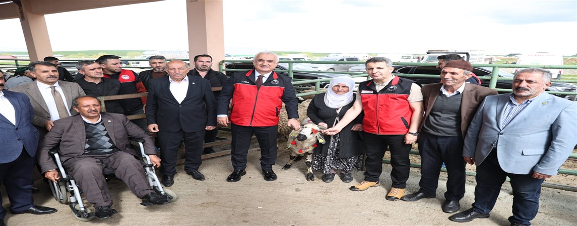 *Muş’ta Kadınlara Hayvan Desteği: Kırsal Bereketleniyor!*